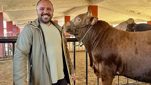 Ağrı'dan batıya giden kurbanlıklarda azalma oldu