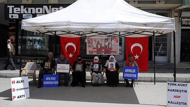 Muşlu ailelerin evlat nöbeti sürüyor