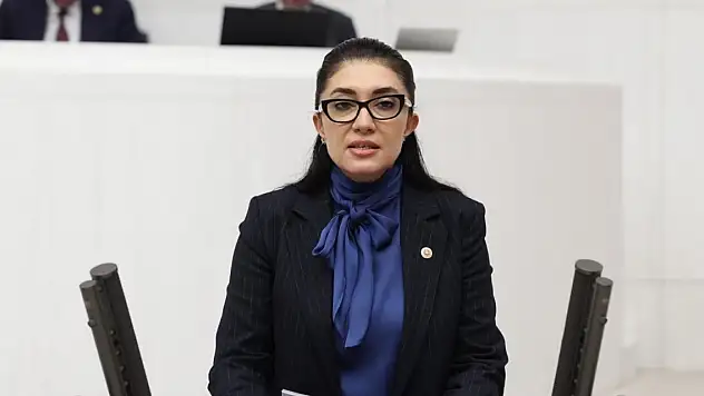 Milletvekili Kilerci İzmir uçuşları için devreye girdi