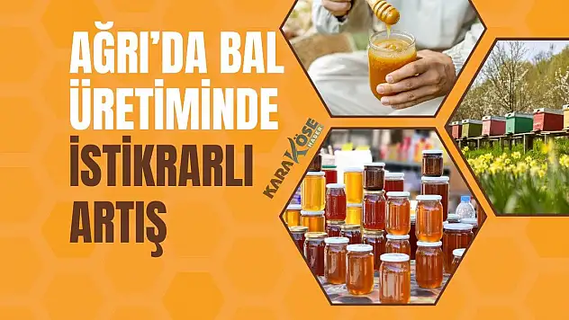 Ağrı'da Bal Üretiminde İstikrarlı Artış