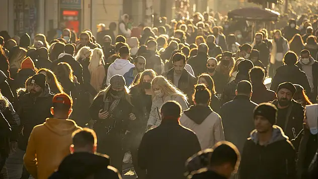 Türkiye Nüfus ve Sağlık Araştırması yapılacak