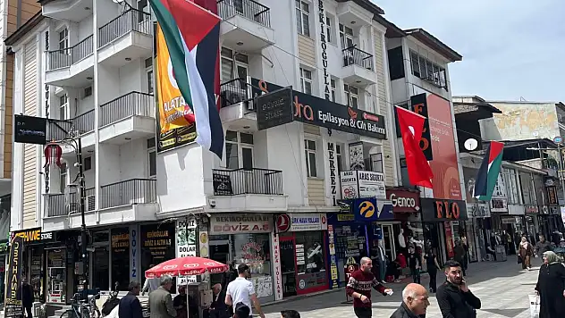 Ağrı Cumhuriyet Caddesi'ne Filistin bayrağı ve fotoğrafları asıldı
