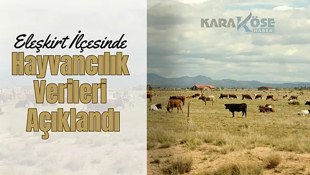 Eleşkirt İlçesinde Hayvancılık Verileri Açıklandı