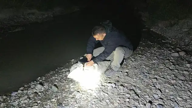 İnci kefali için gece denetimi