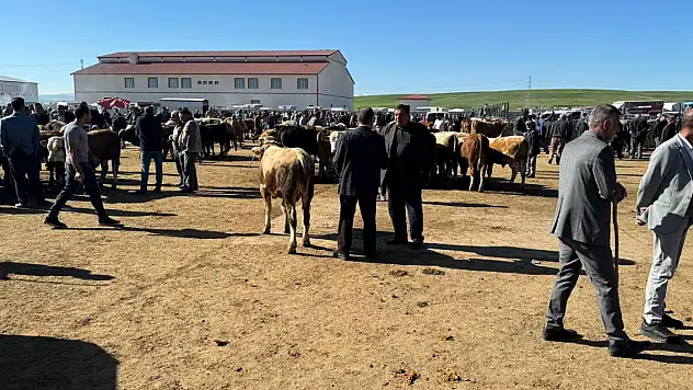 Ağrı Hayvan Pazarı'nda Kurban Bayramı Hareketliliği