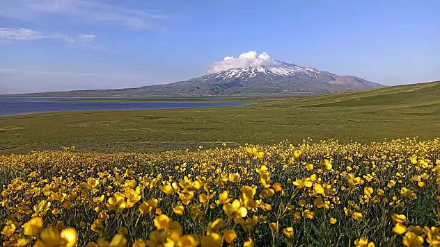 Sütey Yaylası ve Süphan Dağı'ndan kartpostallık kareler