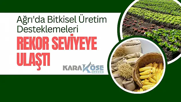 Ağrı'da Bitkisel Üretim Desteklemeleri Rekor Seviyeye Ulaştı