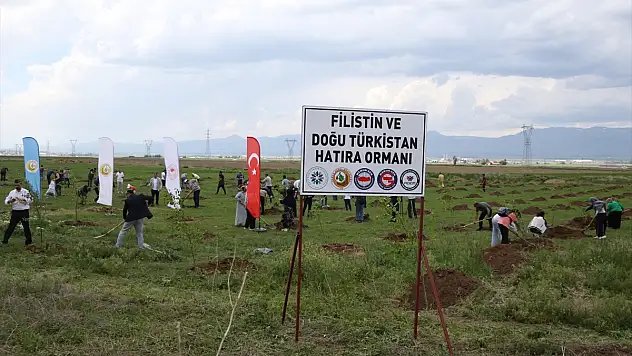 Erzurum'da Filistin ve Doğu Türkistan Hatıra Ormanı oluşturuldu