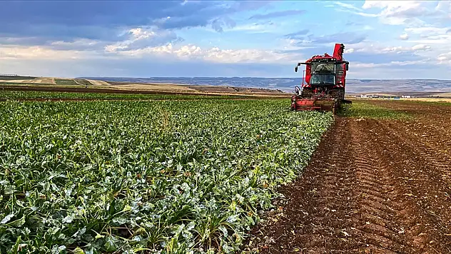 Çiftçilerin hesaplarına destekleme ödemeleri yatırılmaya başladı