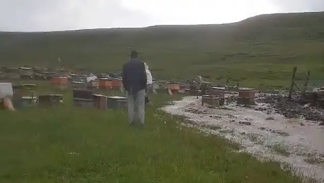 Erzurum'da dolu arı kovanlarını vurdu