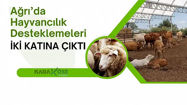 Ağrı'da Hayvancılık Desteklemeleri İki Katına Çıktı