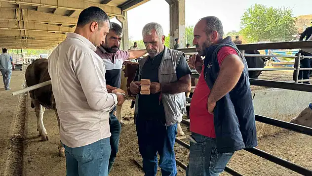 Diyarbakır'da son pazarlıklar yapılıyor