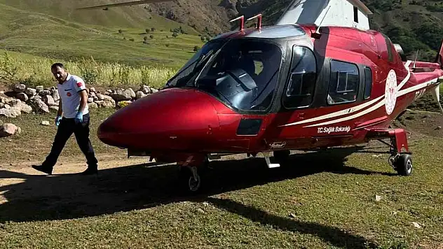 Arı sokması sonucu bilinç kaybı yaşayan hasta, ambulans helikopterle Erzurum'a sevk edildi