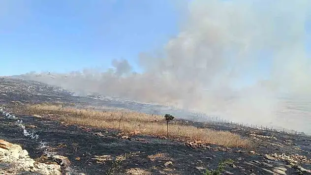 Diyarbakır'da örtü yangını