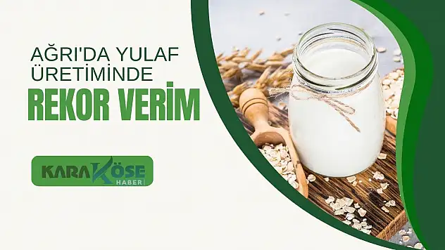 Ağrı'da Yulaf Üretiminde Rekor Verim