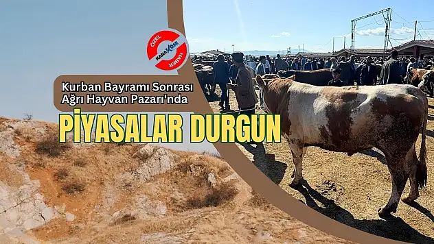 Kurban Bayramı Sonrası Ağrı Hayvan Pazarı'nda Piyasalar Durgun
