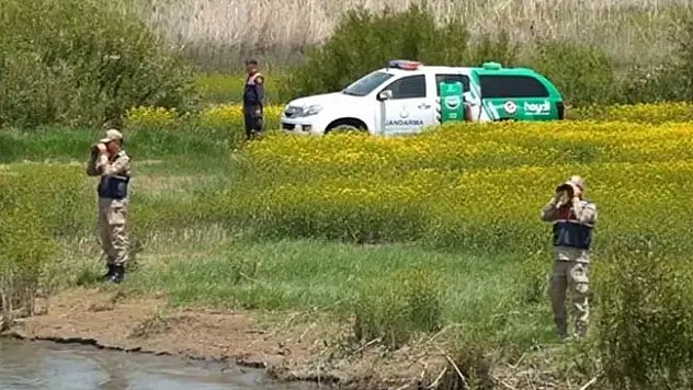 Van'da tonlarca ölü inci kefali ele geçirildi