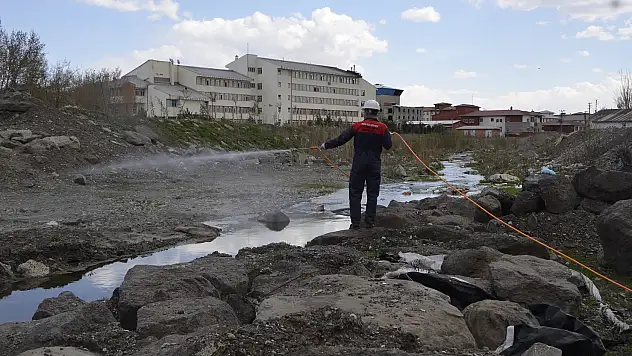 Ağrı'da ilaçlama çalışması başlatıldı