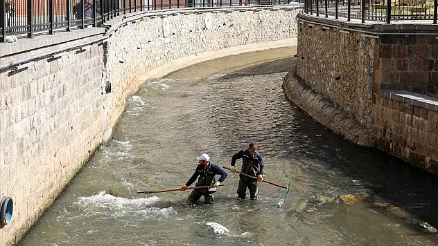Bitlis'te dere yatakları çöplerden arındırılıyor