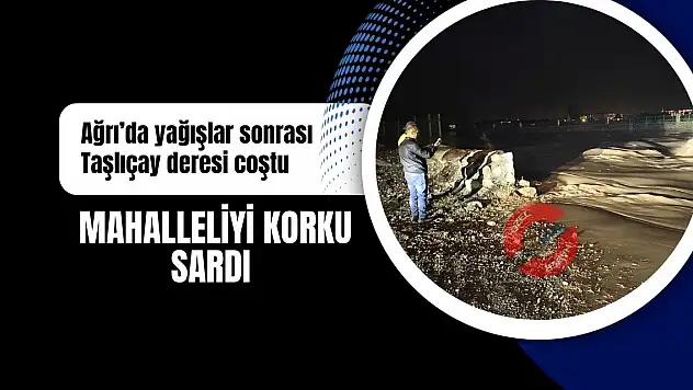 Ağrı'da yağışlar sonrası Taşlıçay deresi coştu mahalleliyi korku sardı