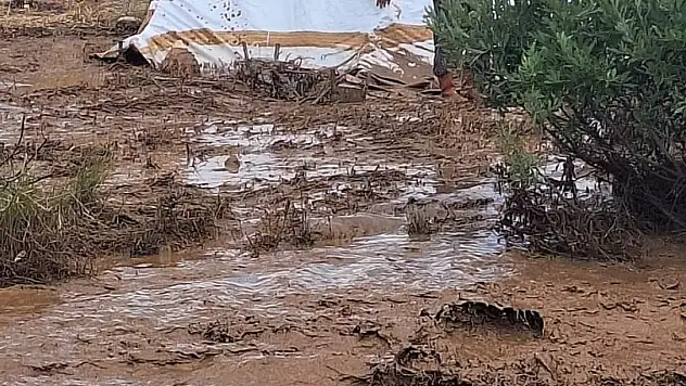 Tunceli'de sağanak nedeni ile yaylacıların çadırlarını su bastı