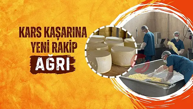 Kars Kaşarına Yeni Rakip: Ağrı