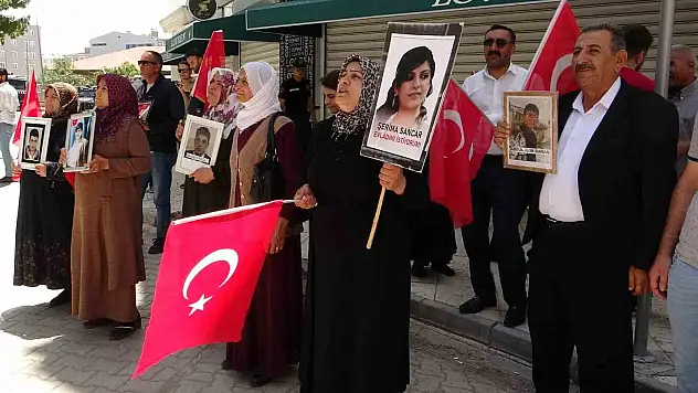 Vanlı annelerin evlat nöbeti devam ediyor