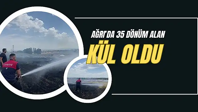 Ağrı'da 35 dönüm alan kül oldu