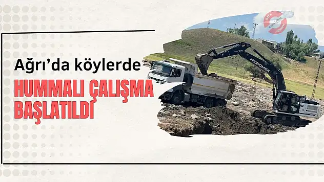 Ağrı'da köylerde hummalı çalışma başlatıldı