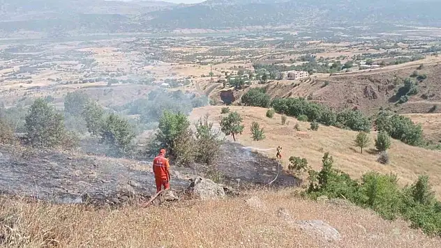 Bingöl'de çıkan yangın ormanlık alana sıçramadan söndürüldü
