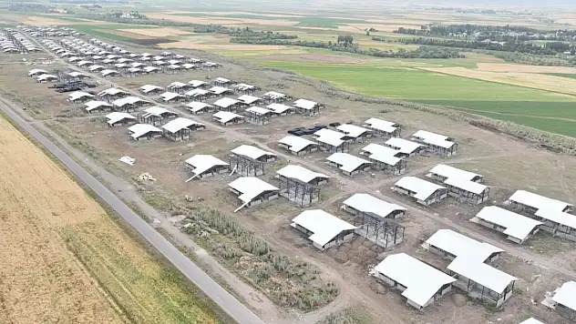 Ağrı'da Türkiye'nin en büyük entegre hayvancılık tesisi kuruluyor