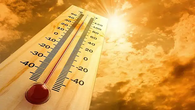 Kavurucu sıcaklar kalbi ve böbrekleri vuruyor