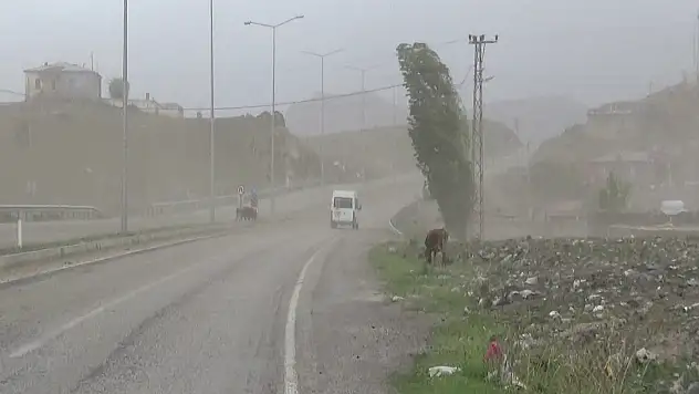 Fırtına Doğubayazıt karayolunda etkili oldu