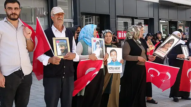 Vanlı anneler 84 haftadır evlatlarını bekliyor