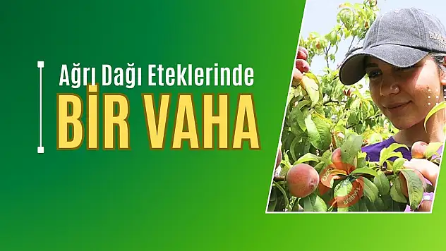 Ağrı Dağı Eteklerinde Bir Vaha