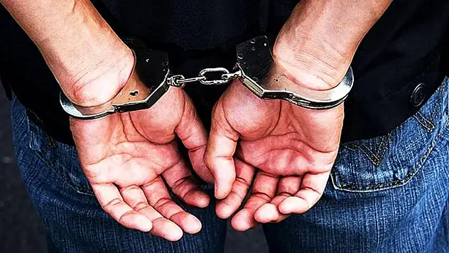 Van'da aranan 48 kişi tutuklandı