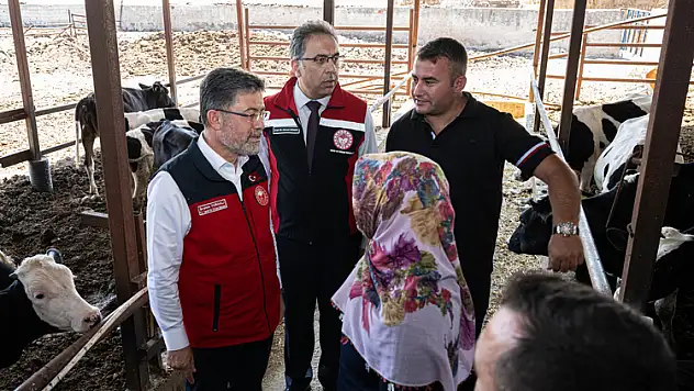 Hayvancılık desteğinde yeni sistem