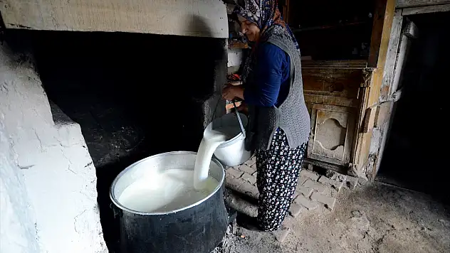 Kars'ta kadınların çeçil peyniri telaşı başladı