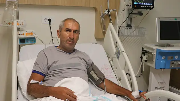 Erzurum'da mantar yiyen 4 kişi hastanelik oldu