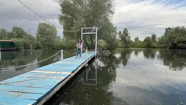 Ağrı'da hafta sonu piknik alanları doldu