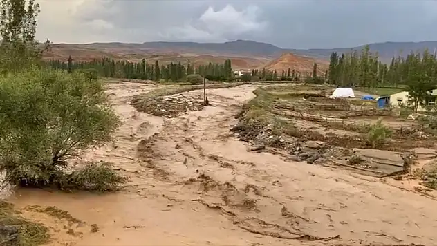 Kars'ta sel meyve bahçelerini vurdu