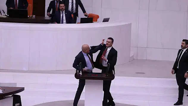 TBMM Genel Kurulu'nda yumruklu kavga
