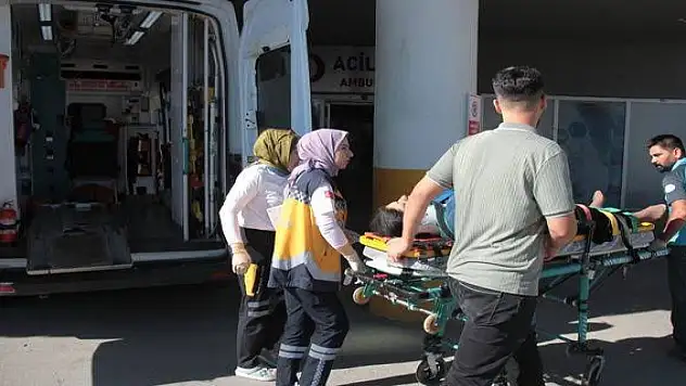 Bitlis'te yaylada köpeğin ısırdığı çocuk yaralandı