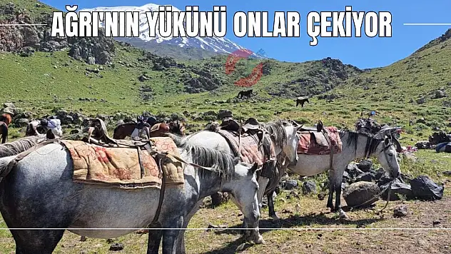 Ağrı'nın yükünü onlar çekiyor
