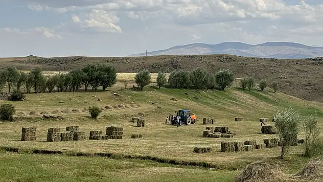 Ağrı'da Kış Hazırlıkları