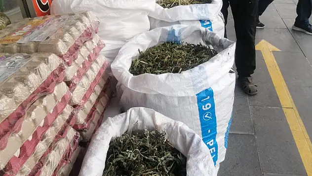 Ağrı'nın Şifalı Bitkileri: Elegez ve Diğer Şifalı Otlar Satışa Çıktı