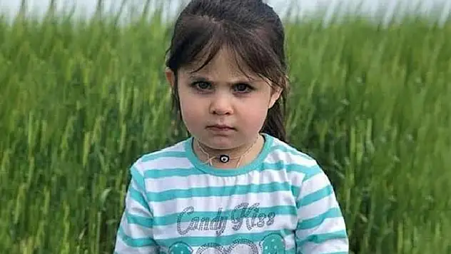 Narin'in kaybı akıllara minik Leyla'yı getirdi
