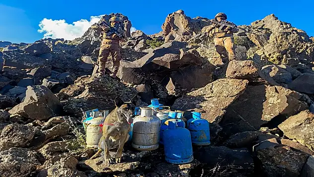 Ağrı'da mağaraya operasyon