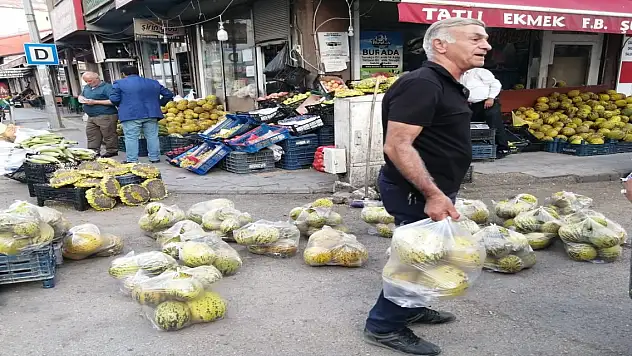 Ağrılı Üreticiden Taze Kavun Hasadı