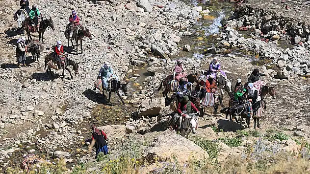 Van'da berivanlar her gün zorlu yayla yolunu tutuyor